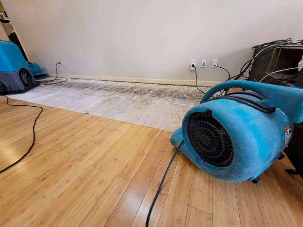 Professional Emergency Water Damage technician working in New Ulm, TX